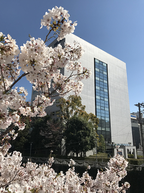 東京オフィスビル写真